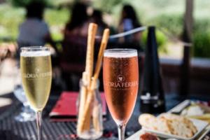 看欧洲杯,喝不停!免费啤酒任你拿!看欧洲杯免费喝啤酒